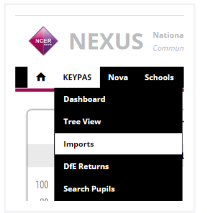 Screenshot_2019-07-29_Importing_Pupil_Premium_Data_into_Nexus_pdf.png